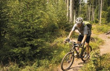 Ascension-Alsac-Vosges-3-4-by-Swiss-Bike-Tours